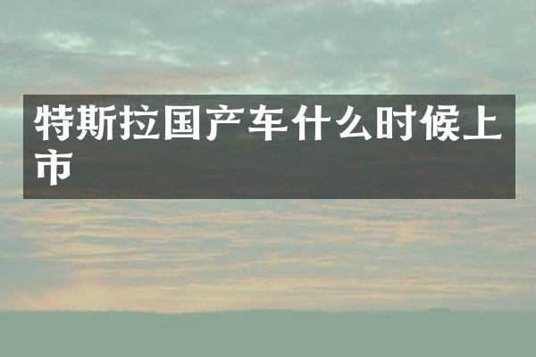 特斯拉国产车什么时候上市