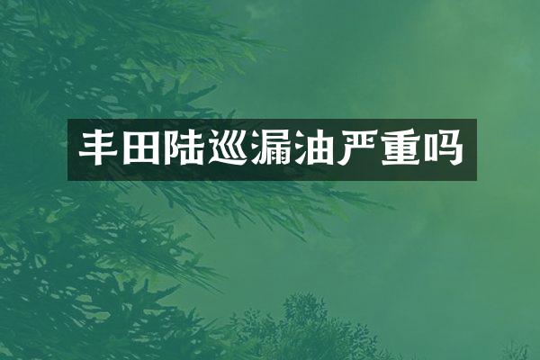 丰田陆巡漏油严重吗