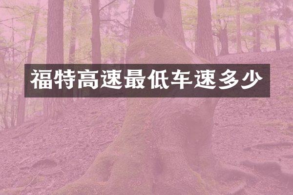福特高速最低车速多少