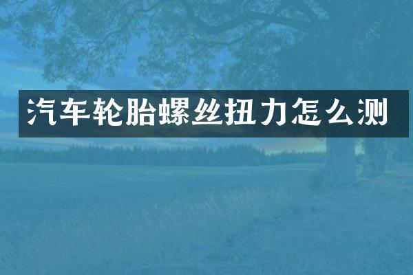 汽车轮胎螺丝扭力怎么测