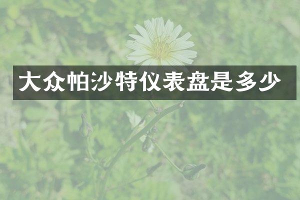 大众帕沙特仪表盘是多少