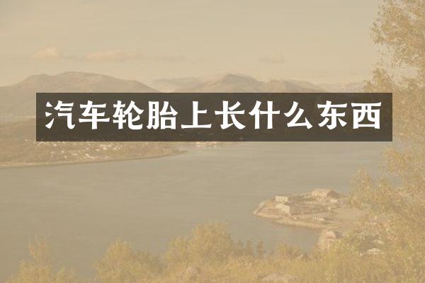 汽车轮胎上长什么东西