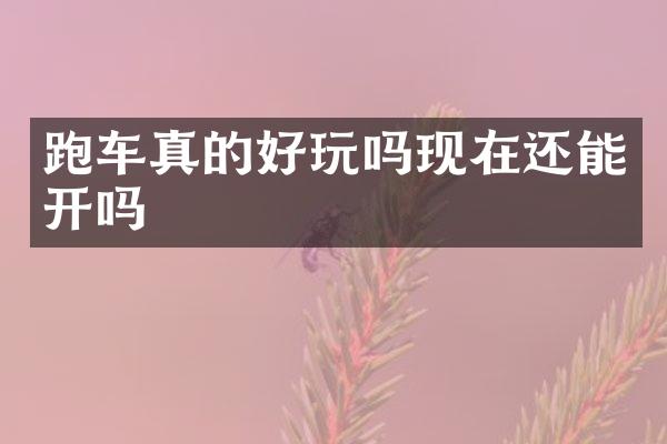 跑车真的好玩吗现在还能开吗