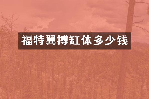 福特翼搏缸体多少钱