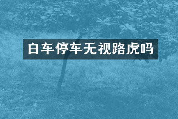 白车停车无视路虎吗