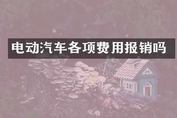 电动汽车各项费用报销吗