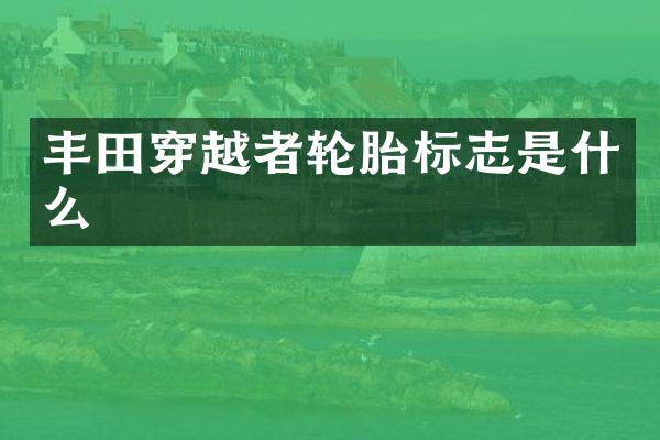 丰田穿越者轮胎标志是什么