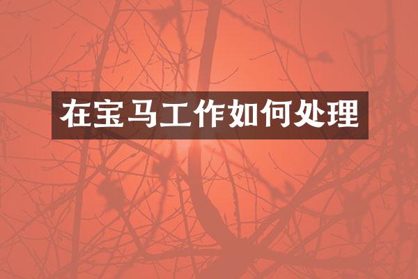 在宝马工作如何处理