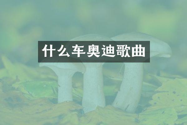 什么车奥迪歌曲