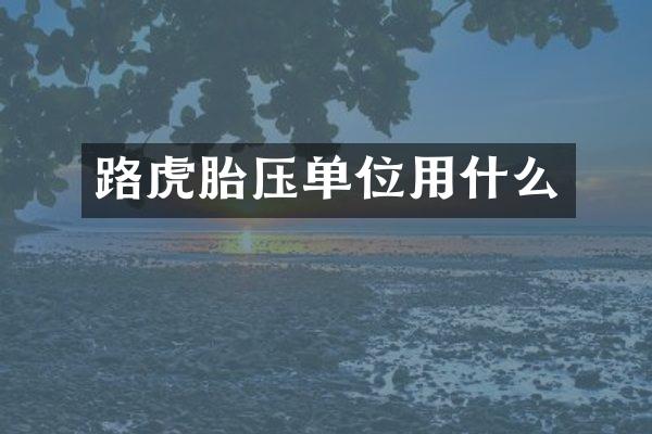 路虎胎压单位用什么