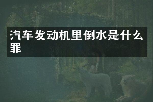 汽车发动机里倒水是什么罪