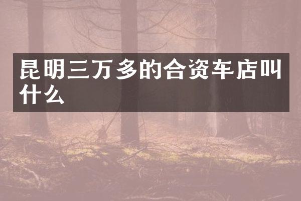 昆明三万多的合资车店叫什么