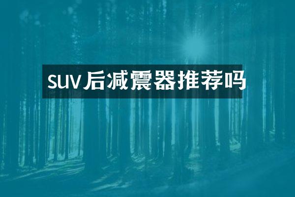 suv后减震器推荐吗