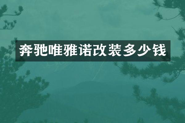 奔驰唯雅诺改装多少钱
