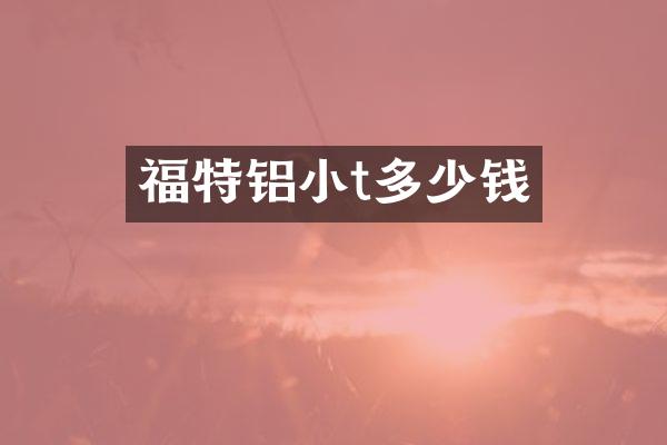 福特铝小t多少钱