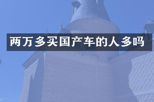 两万多买国产车的人多吗