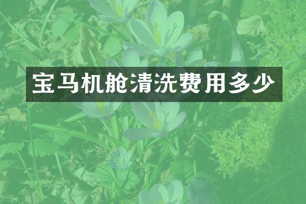 宝马机舱清洗费用多少
