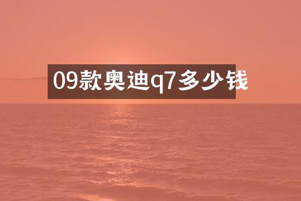 09款奥迪q7多少钱