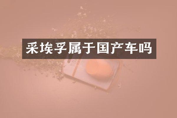 采埃孚属于国产车吗