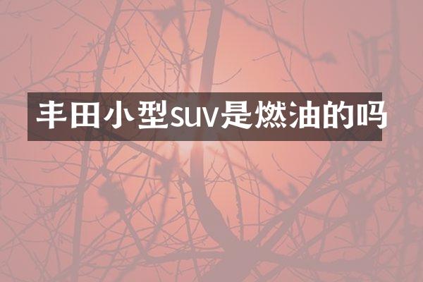 丰田小型suv是燃油的吗