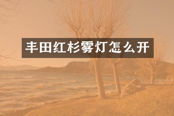 丰田红杉雾灯怎么开