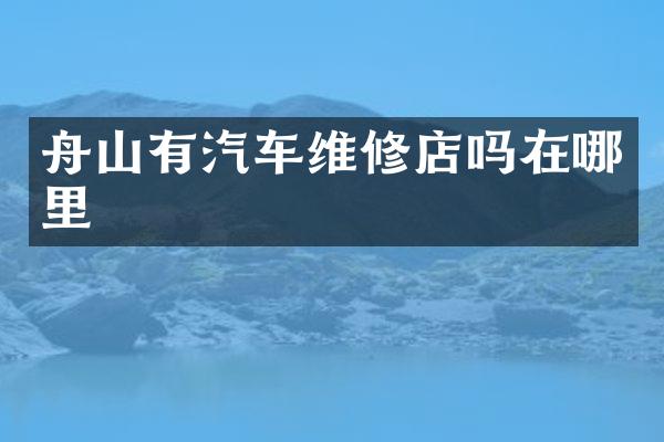 舟山有汽车维修店吗在哪里