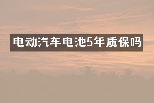 电动汽车电池5年质保吗