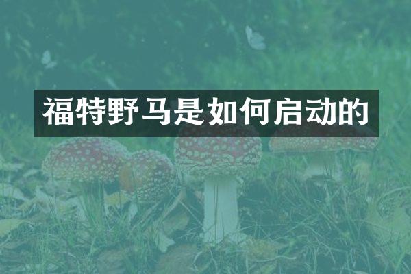 福特野马是如何启动的