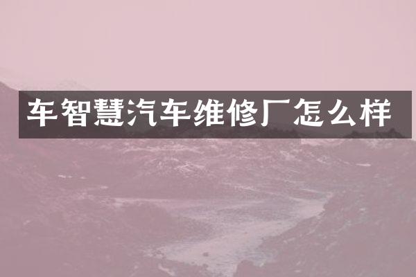 车智慧汽车维修厂怎么样