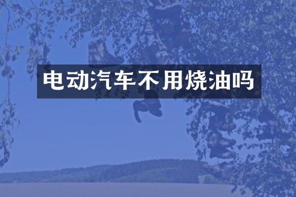 电动汽车不用烧油吗