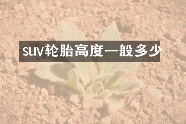 suv轮胎高度一般多少