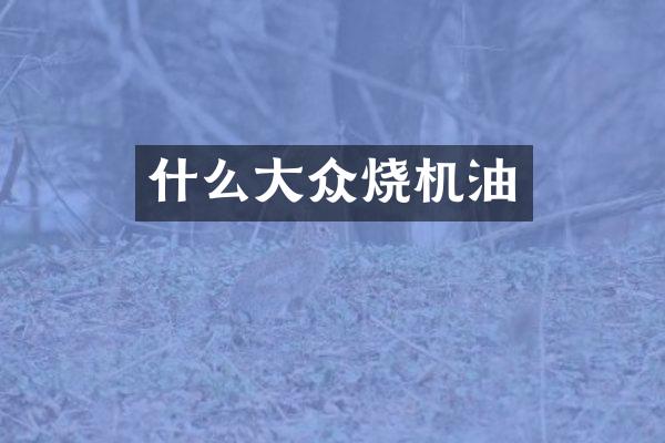 什么大众烧机油