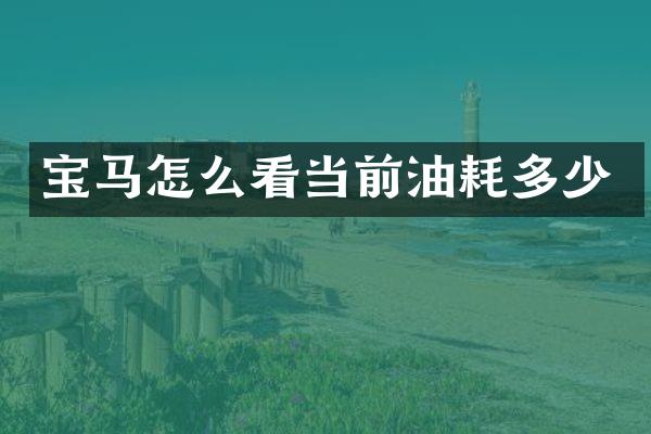 宝马怎么看当前油耗多少