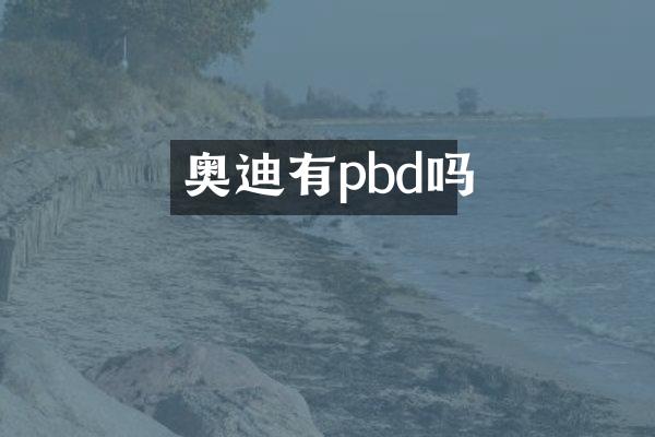 奥迪有pbd吗