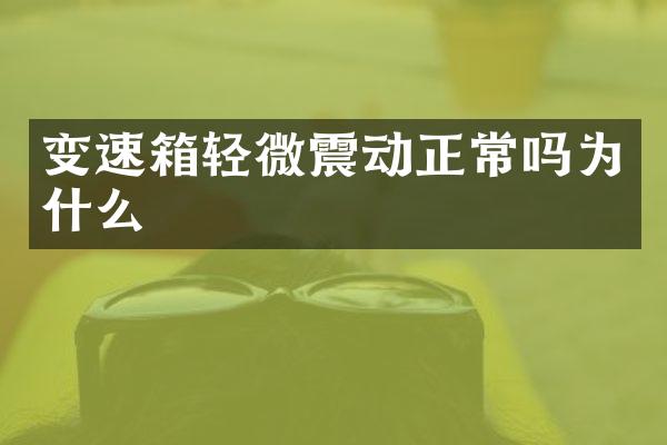 变速箱轻微震动正常吗为什么