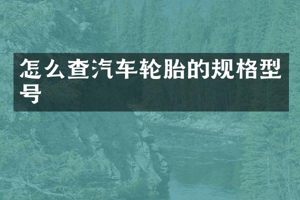 怎么查汽车轮胎的规格型号