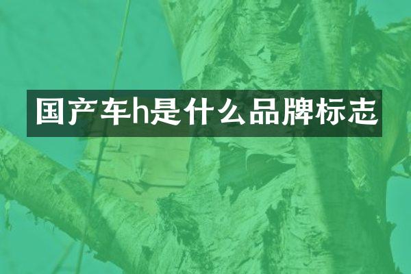 国产车h是什么品牌标志