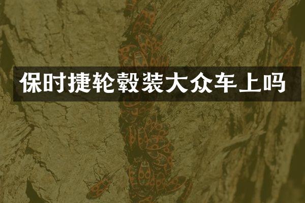 保时捷轮毂装大众车上吗