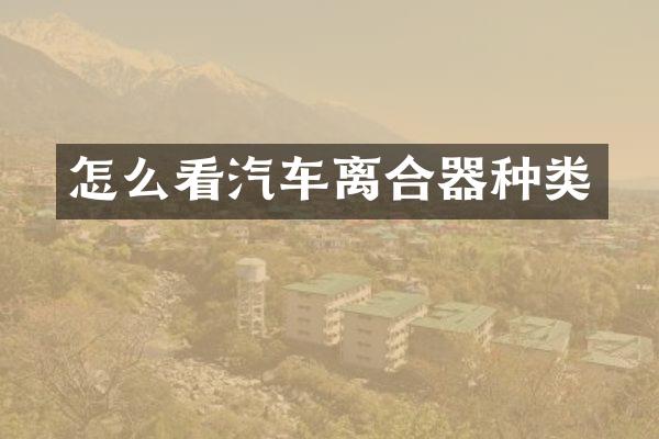 怎么看汽车离合器种类