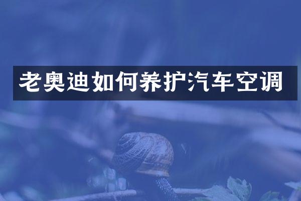 老奥迪如何养护汽车空调
