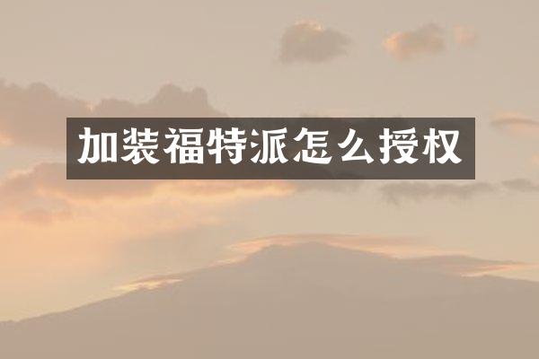 加装福特派怎么授权