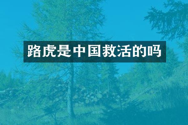 路虎是中国救活的吗