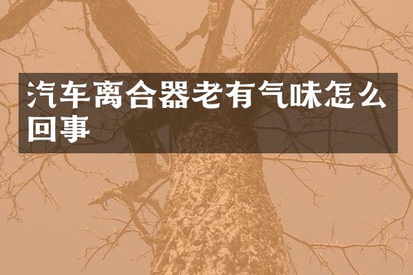 汽车离合器老有气味怎么回事