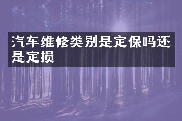 汽车维修类别是定保吗还是定损