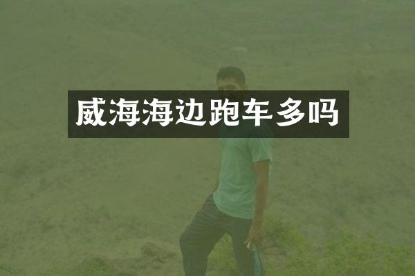 威海海边跑车多吗