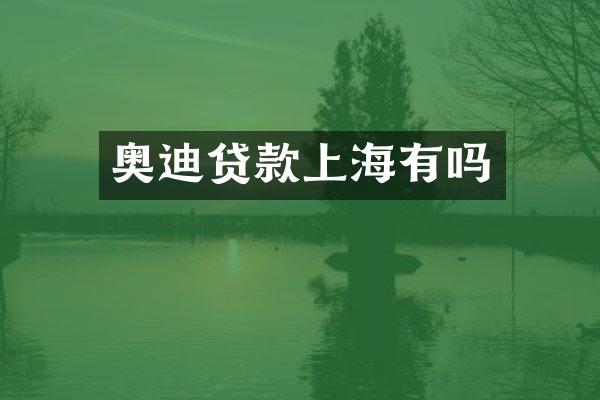 奥迪贷款上海有吗