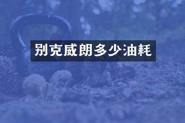 别克威朗多少油耗