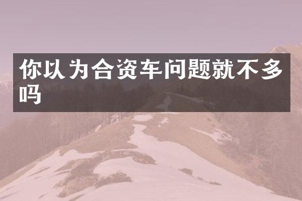 你以为合资车问题就不多吗