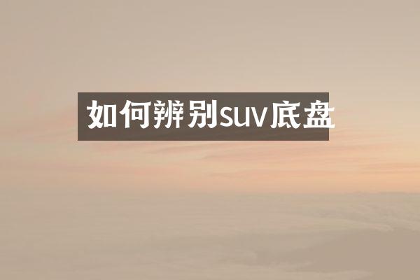如何辨别suv底盘