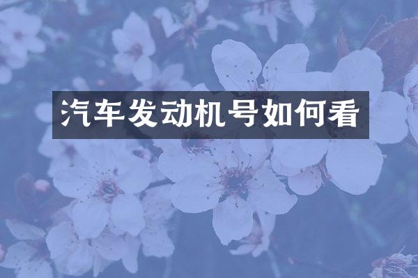 汽车发动机号如何看
